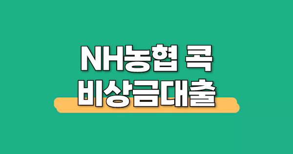 NH콕-비상금대출-농협